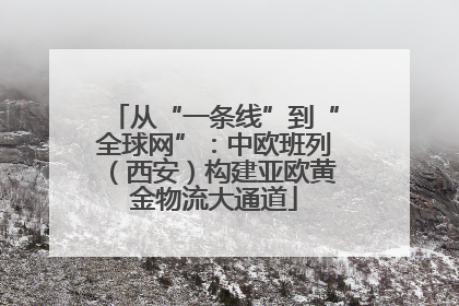 从“一条线”到“全球网”：中欧班列（西安）构建亚欧黄金物流大通道