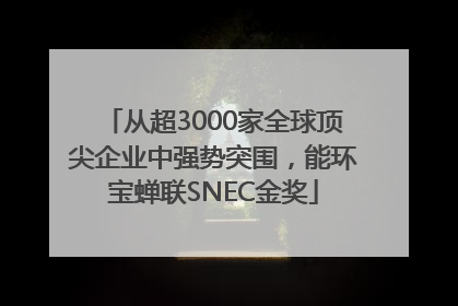 从超3000家全球顶尖企业中强势突围，能环宝蝉联SNEC金奖