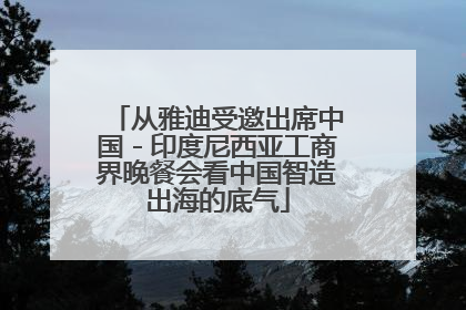 从雅迪受邀出席中国－印度尼西亚工商界晚餐会看中国智造出海的底气