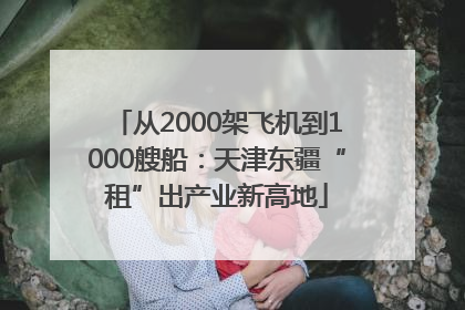 从2000架飞机到1000艘船：天津东疆“租”出产业新高地