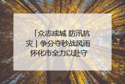 众志成城 防汛抗灾｜争分夺秒战风雨 怀化市全力以赴守护人民群众安全