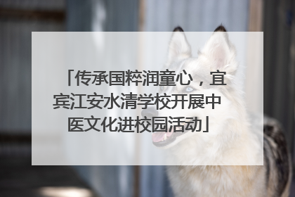 传承国粹润童心，宜宾江安水清学校开展中医文化进校园活动
