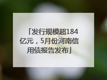发行规模超184亿元，5月份河南信用债报告发布