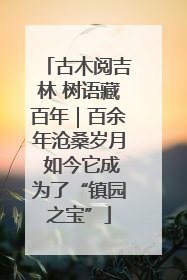古木阅吉林 树语藏百年｜百余年沧桑岁月 如今它成为了“镇园之宝”