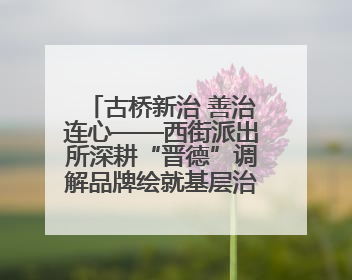 古桥新治 善治连心——西街派出所深耕“晋德”调解品牌绘就基层治理新画卷
