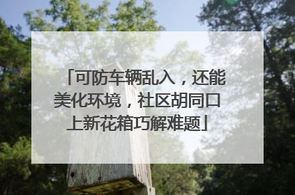 可防车辆乱入，还能美化环境，社区胡同口上新花箱巧解难题