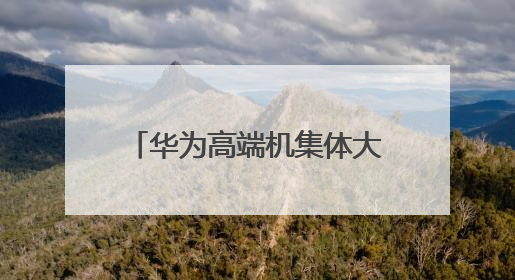 华为高端机集体大跳水，2025最值得买的2款高端机 mate70、pura70如何选？