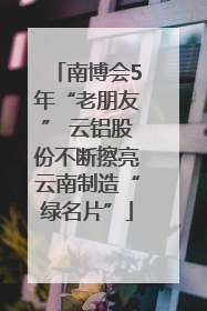 南博会5年“老朋友” 云铝股份不断擦亮云南制造“绿名片”