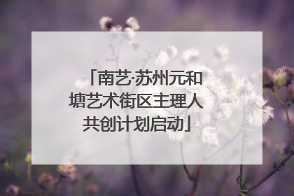 南艺·苏州元和塘艺术街区主理人共创计划启动