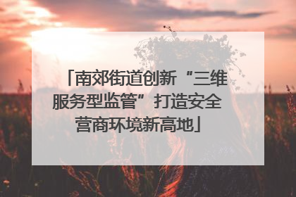 南郊街道创新“三维服务型监管”打造安全营商环境新高地