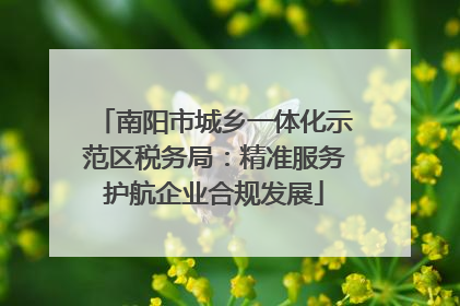 南阳市城乡一体化示范区税务局：精准服务护航企业合规发展