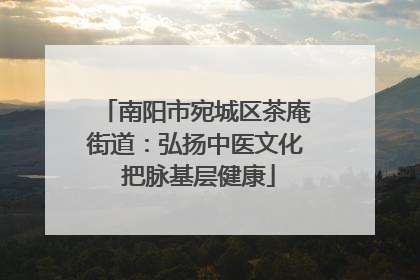 南阳市宛城区茶庵街道：弘扬中医文化 把脉基层健康