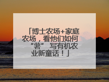 博士农场+家庭农场，看他们如何“薯” 写有机农业新童话！