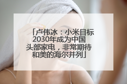 卢伟冰：小米目标2030年成为中国头部家电，非常期待和美的海尔并列