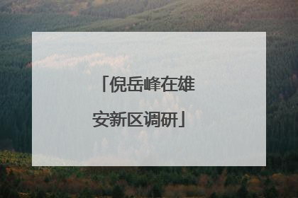 倪岳峰在雄安新区调研