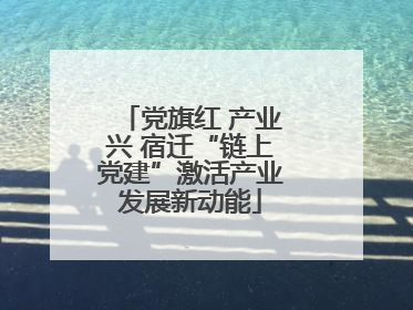 党旗红 产业兴 宿迁“链上党建”激活产业发展新动能
