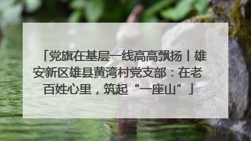 党旗在基层一线高高飘扬丨雄安新区雄县黄湾村党支部：在老百姓心里，筑起“一座山”