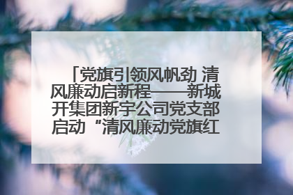 党旗引领风帆劲 清风廉动启新程——新城开集团新宇公司党支部启动“清风廉动党旗红”系列活动
