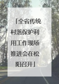 全省传统村落保护利用工作现场推进会在松阳召开