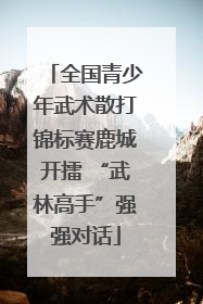 全国青少年武术散打锦标赛鹿城开擂 “武林高手”强强对话