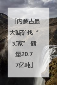 内蒙古最大碱矿找“买家” 储量20.77亿吨