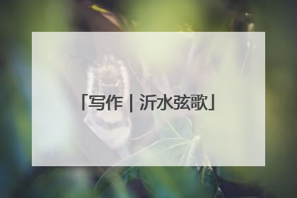 写作｜沂水弦歌