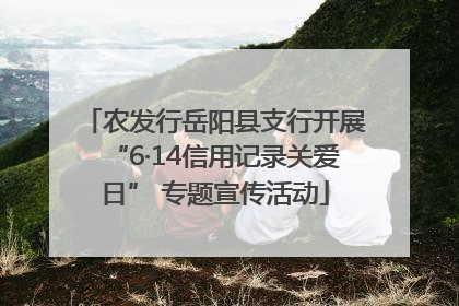 农发行岳阳县支行开展“6·14信用记录关爱日” 专题宣传活动