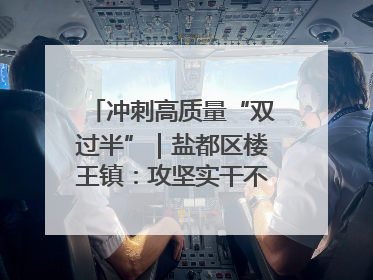 冲刺高质量“双过半”｜盐都区楼王镇：攻坚实干不停歇 奋力跑赢“上半场”