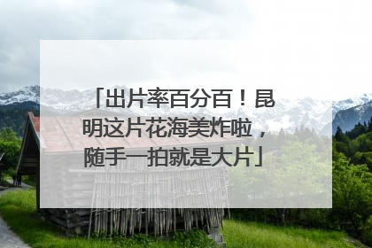 出片率百分百！昆明这片花海美炸啦，随手一拍就是大片