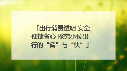 出行消费透明 安全便捷省心 探究小拉出行的“省”与“快”