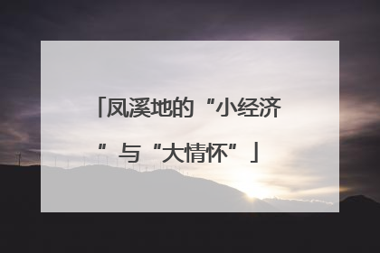 凤溪地的“小经济”与“大情怀”