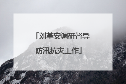 刘革安调研督导防汛抗灾工作