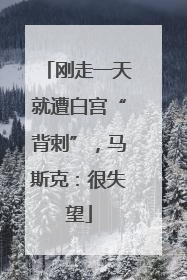 刚走一天就遭白宫“背刺”，马斯克：很失望