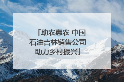 助农惠农 中国石油吉林销售公司助力乡村振兴