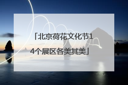 北京荷花文化节14个展区各美其美