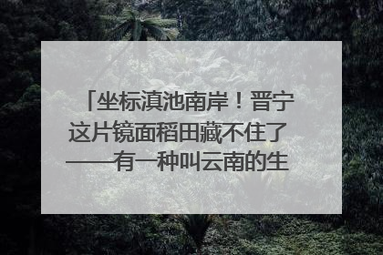 坐标滇池南岸！晋宁这片镜面稻田藏不住了——有一种叫云南的生活之365天