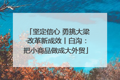 坚定信心 勇挑大梁·改革新成效丨白沟：把小商品做成大外贸