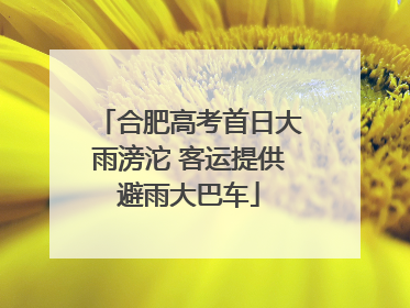 合肥高考首日大雨滂沱 客运提供避雨大巴车