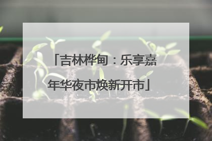 吉林桦甸：乐享嘉年华夜市焕新开市