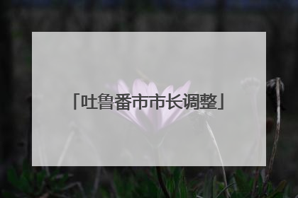 吐鲁番市市长调整
