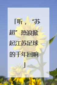 听，“苏超”热浪掀起江苏足球的千年回响