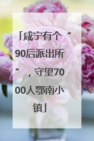 咸宁有个“90后派出所”，守望7000人鄂南小镇