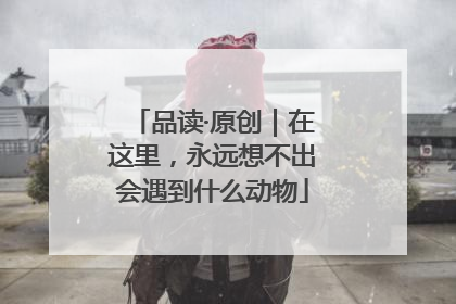 品读·原创｜在这里，永远想不出会遇到什么动物