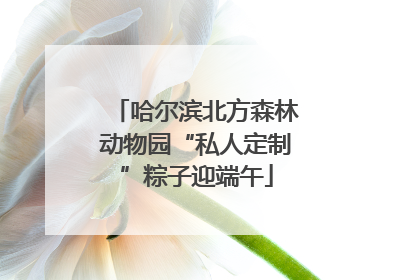 哈尔滨北方森林动物园“私人定制”粽子迎端午