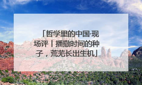 哲学里的中国·现场评丨播撒时间的种子，荒芜长出生机