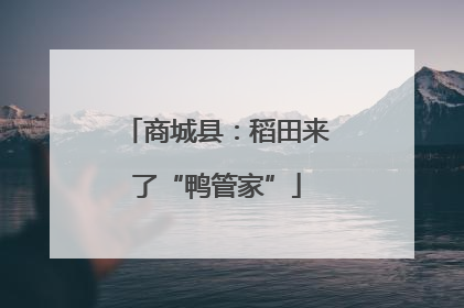 商城县：稻田来了“鸭管家”