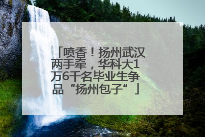 喷香！扬州武汉两手牵，华科大1万6千名毕业生争品“扬州包子”