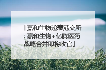 嘉和生物递表港交所：嘉和生物+亿腾医药战略合并即将收官