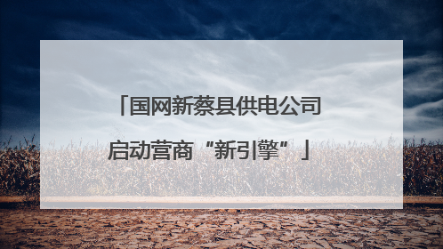 国网新蔡县供电公司启动营商“新引擎”