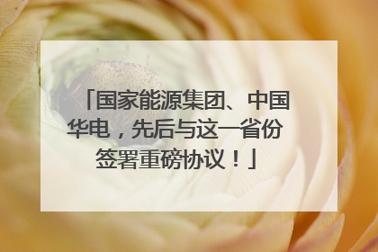 国家能源集团、中国华电，先后与这一省份签署重磅协议！